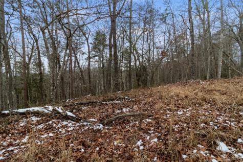 TR4 Curtis Ridge Road Blue Ridge GA 30513