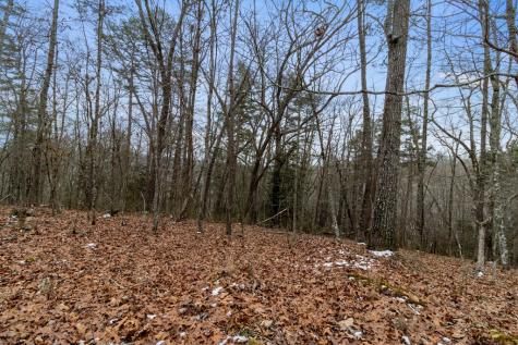 TR4 Curtis Ridge Road Blue Ridge GA 30513