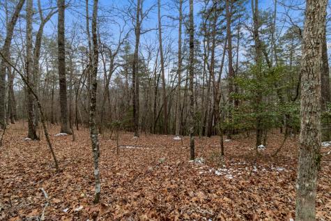 TR4 Curtis Ridge Road Blue Ridge GA 30513