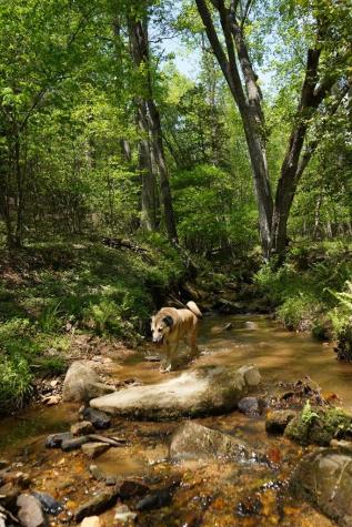 00 Rizzitello Lane Blairsville GA 30512