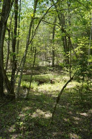 00 Rizzitello Lane Blairsville GA 30512