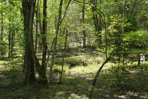 00 Rizzitello Lane Blairsville GA 30512