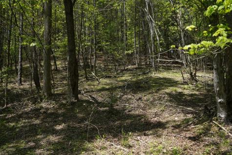 00 Rizzitello Lane Blairsville GA 30512