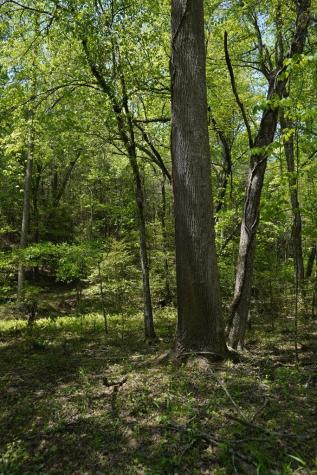 00 Rizzitello Lane Blairsville GA 30512