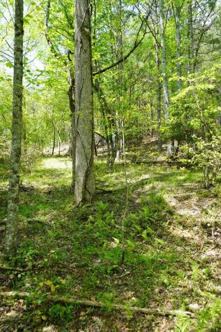 00 Rizzitello Lane Blairsville GA 30512