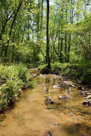 00 Rizzitello Lane Blairsville GA 30512