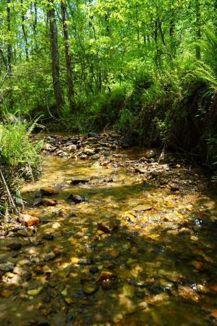 00 Rizzitello Lane Blairsville GA 30512