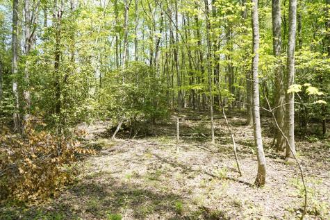 00 Rizzitello Lane Blairsville GA 30512