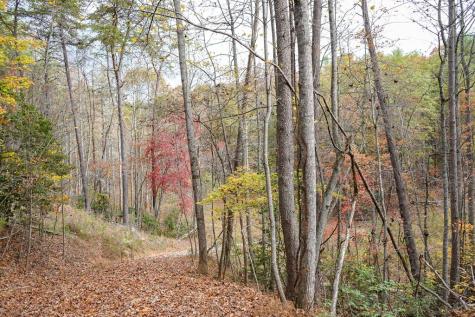 00 Rizzitello Lane Blairsville GA 30512