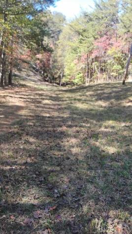 00 Rizzitello Lane Blairsville GA 30512