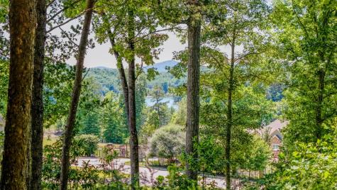 Lot 35 Hidden Harbor Blairsville GA 30512