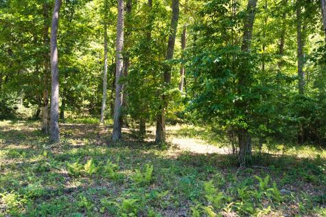 Lot 35 Hidden Harbor Blairsville GA 30512