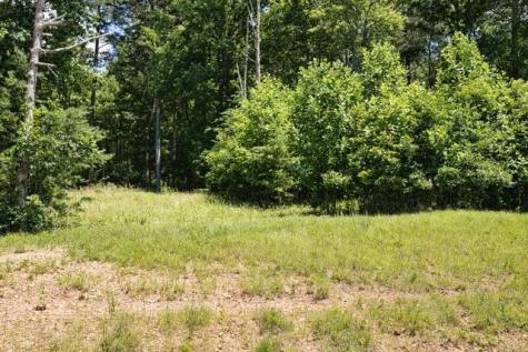 Lot 35 Hidden Harbor Blairsville GA 30512