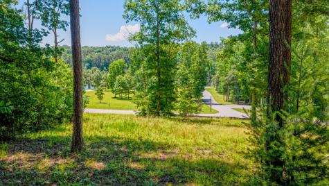 Lot 35 Hidden Harbor Blairsville GA 30512