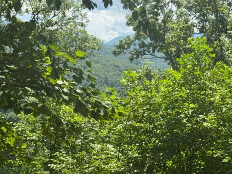 #2 & #7 Ivy Lane Hiawassee GA 30546