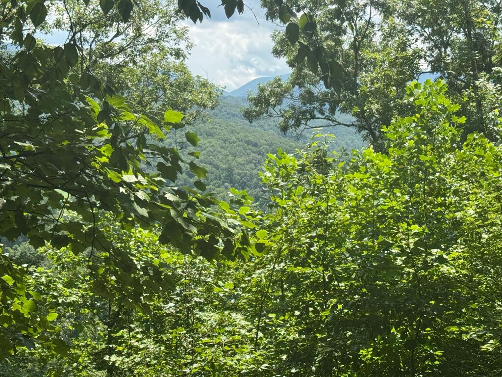 #2 & #7 Ivy Lane Hiawassee GA 30546