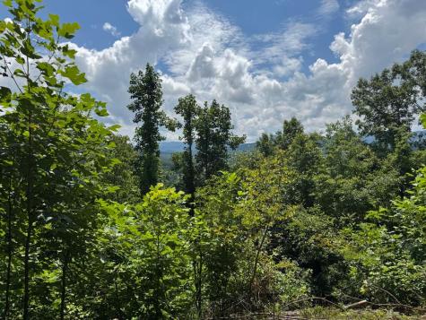 #2 & #7 Ivy Lane Hiawassee GA 30546