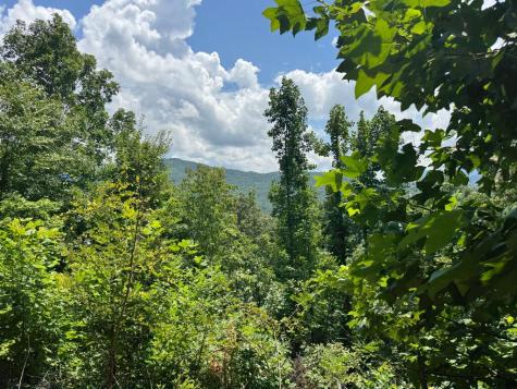 #2 & #7 Ivy Lane Hiawassee GA 30546
