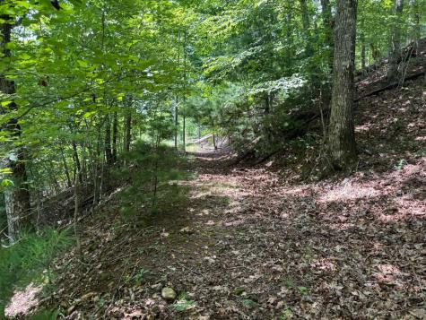 #2 & #7 Ivy Lane Hiawassee GA 30546
