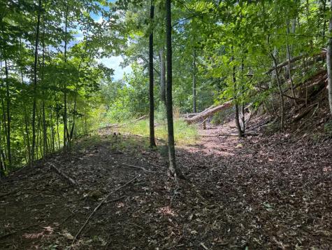 #2 & #7 Ivy Lane Hiawassee GA 30546