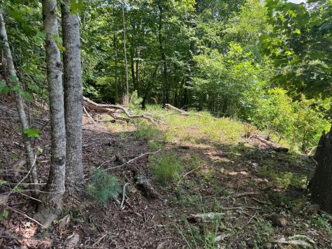 #2 & #7 Ivy Lane Hiawassee GA 30546