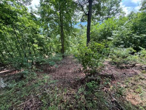 #2 & #7 Ivy Lane Hiawassee GA 30546