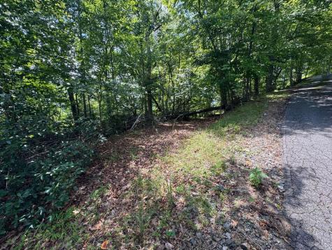 #2 & #7 Ivy Lane Hiawassee GA 30546