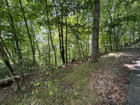 #2 & #7 Ivy Lane Hiawassee GA 30546
