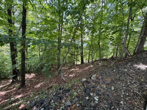 #2 & #7 Ivy Lane Hiawassee GA 30546