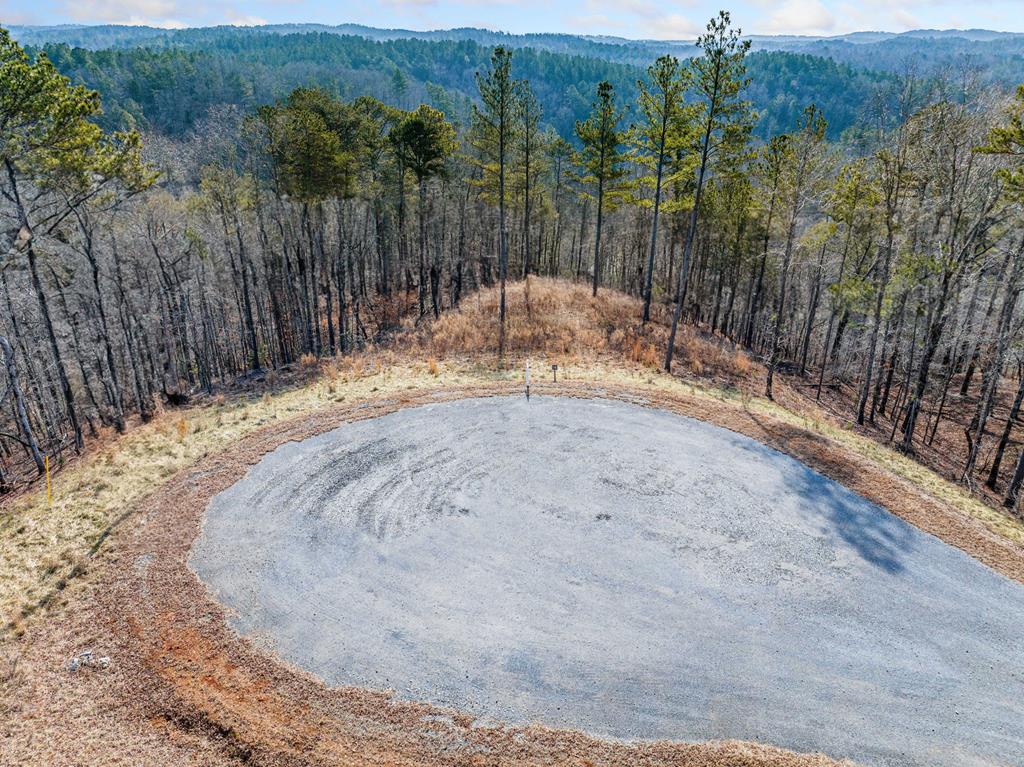 198 Blalock Mountain Court Ellijay GA 30540