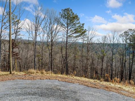 198 Blalock Mountain Court Ellijay GA 30540