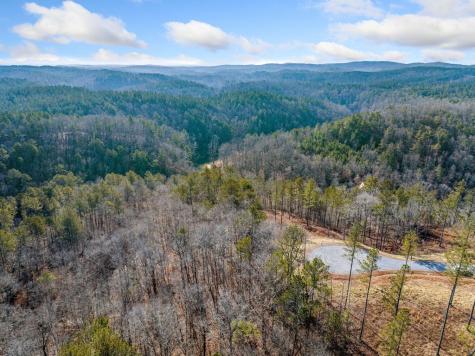 198 Blalock Mountain Court Ellijay GA 30540