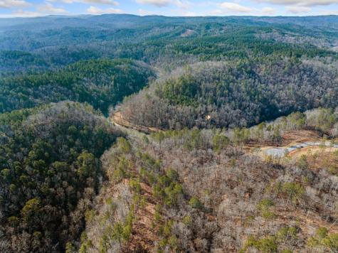 198 Blalock Mountain Court Ellijay GA 30540