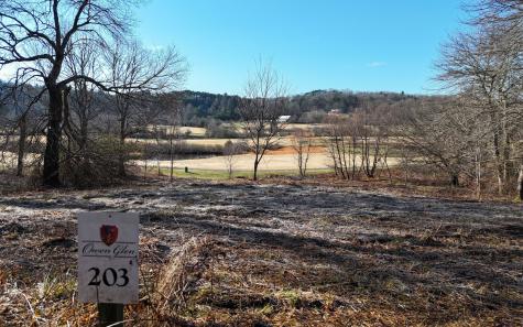 203 Owen Glen Blairsville GA 30512