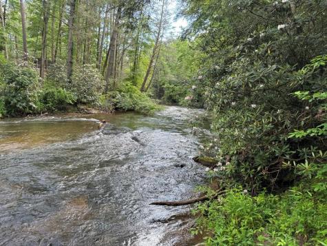 Lot 61 White Pine Trail Suches GA 30572