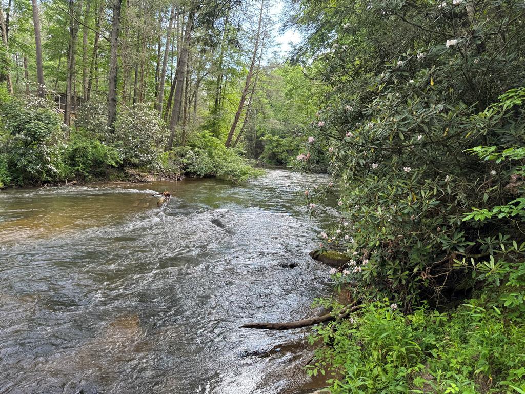 Lot 61 White Pine Trail Suches GA 30572