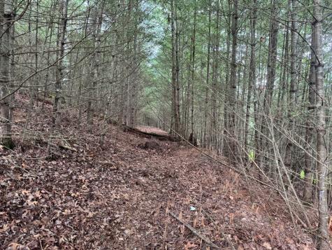 Lot 61 White Pine Trail Suches GA 30572