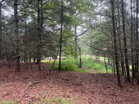 Lot 61 White Pine Trail Suches GA 30572