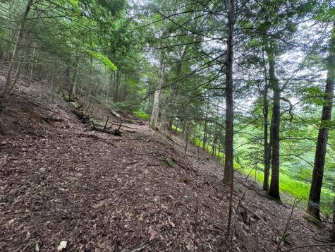 Lot 61 White Pine Trail Suches GA 30572