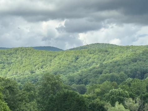 Lot 61 White Pine Trail Suches GA 30572