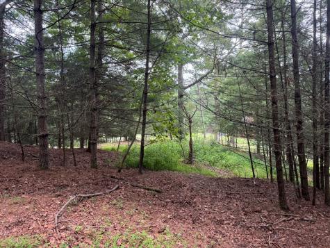 Lot 61 White Pine Trail Suches GA 30572