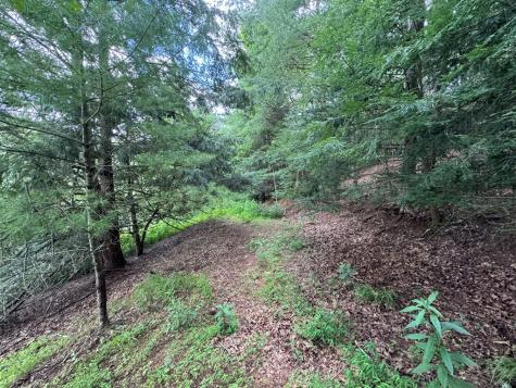 Lot 61 White Pine Trail Suches GA 30572