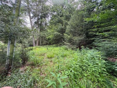 Lot 61 White Pine Trail Suches GA 30572
