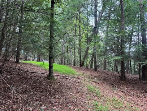 Lot 61 White Pine Trail Suches GA 30572