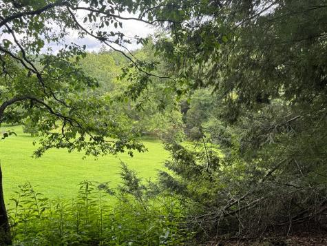 Lot 61 White Pine Trail Suches GA 30572