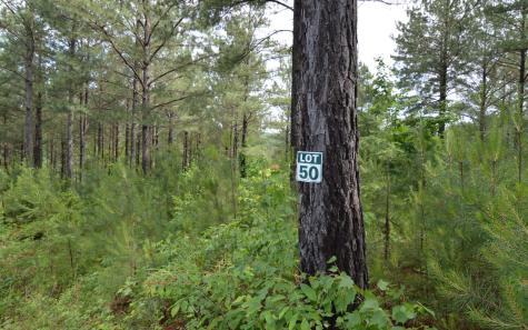 Lot 50 Pinehurst Road Blairsville GA 30512