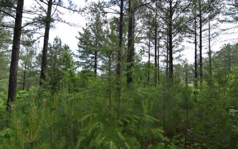 Lot 50 Pinehurst Road Blairsville GA 30512