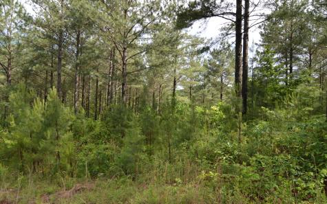 Lot 50 Pinehurst Road Blairsville GA 30512