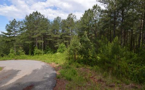 Lot 50 Pinehurst Road Blairsville GA 30512