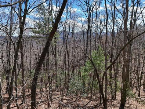 Lot 12 Native Trail Blue Ridge GA 30513